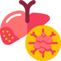 Liver Cirrhosis