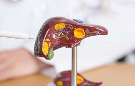 Breaking Down the Myths About Liver Transplans