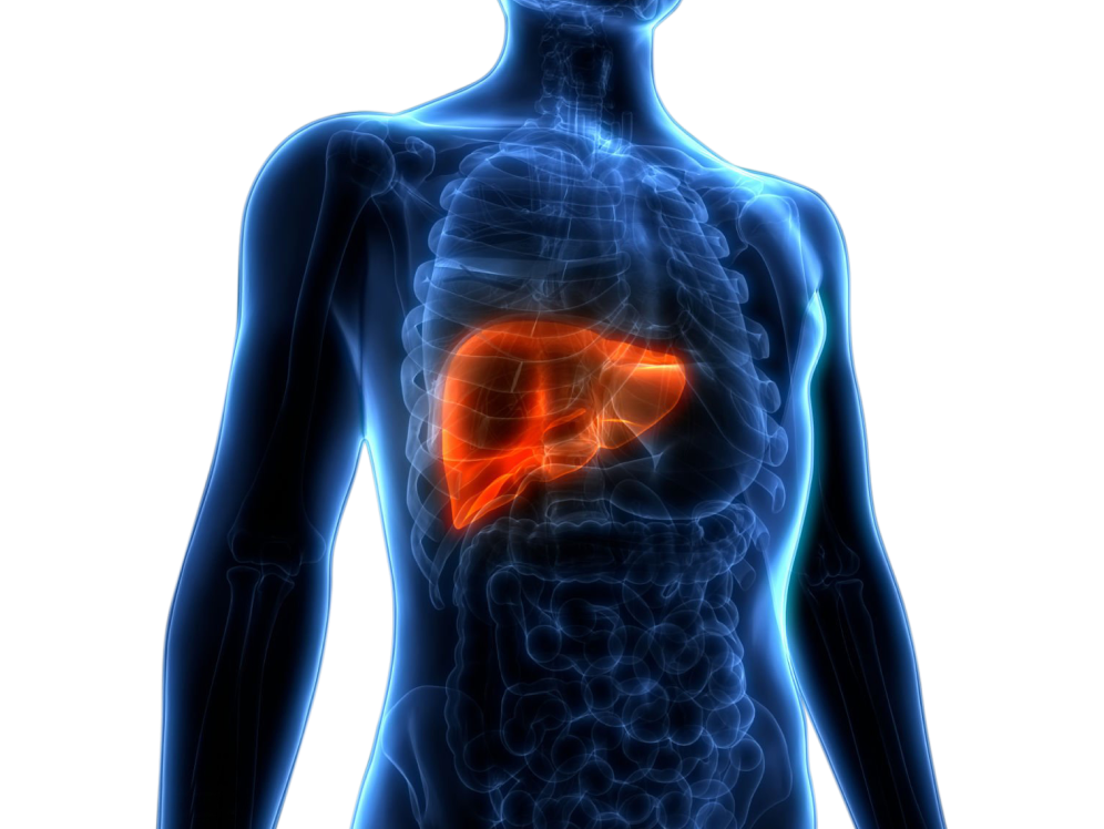 Treatment of Acute Hepatitis
