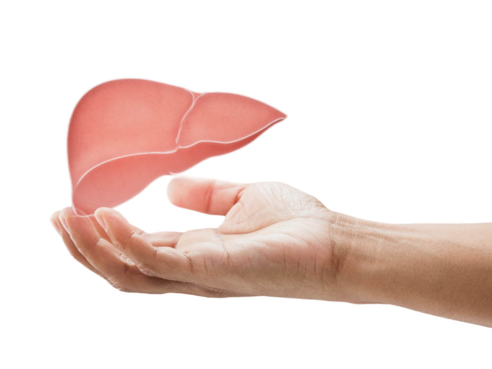 Treatment of Liver Cancer