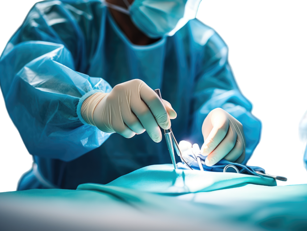 Procedure of Whipple Surgery
