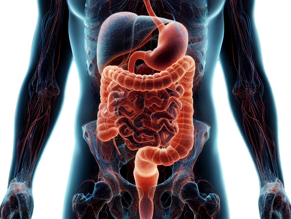 Complications of Gastrointestinal GI Surgery