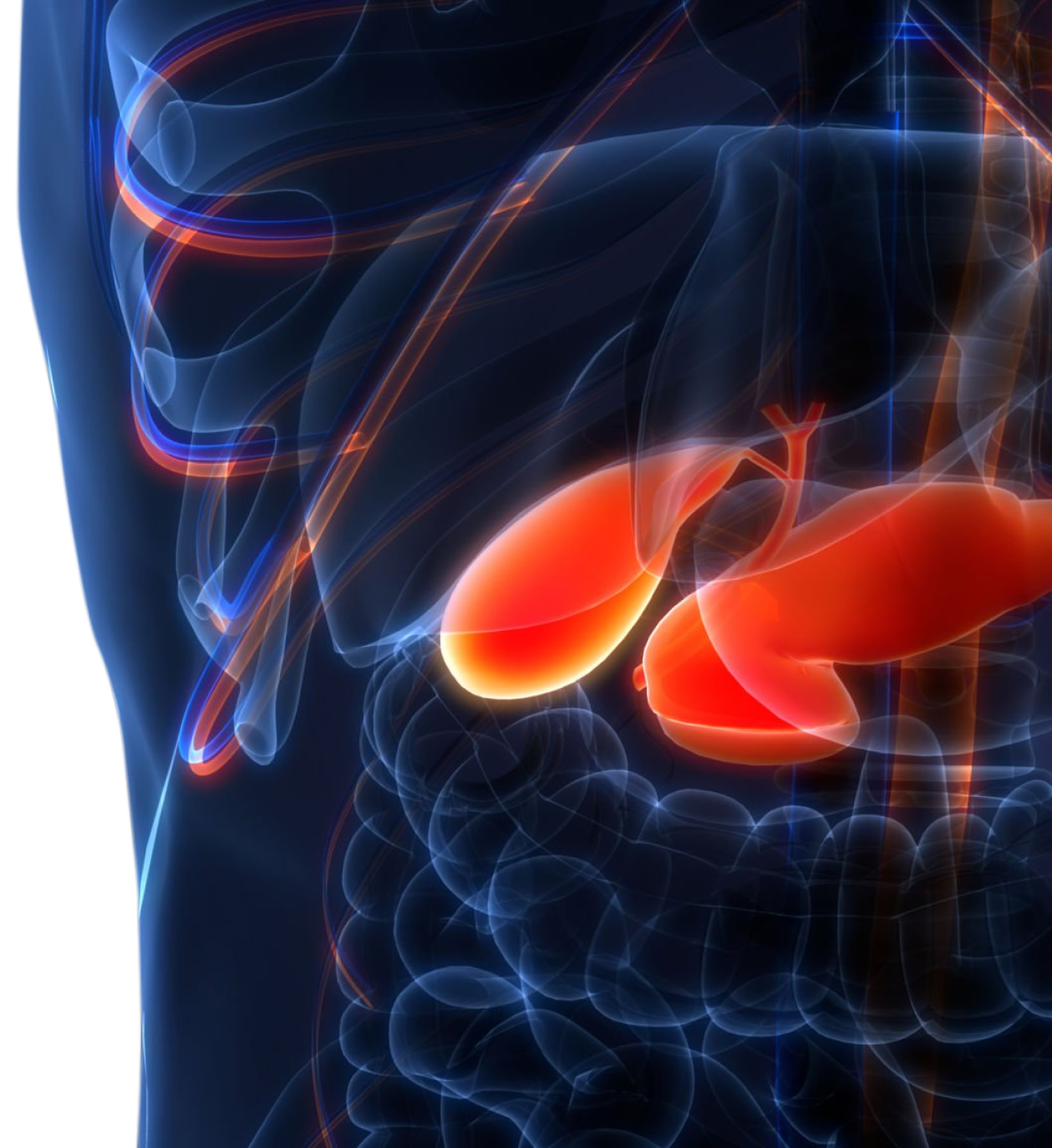 What Is The Purpose of Pancreatic Surgery