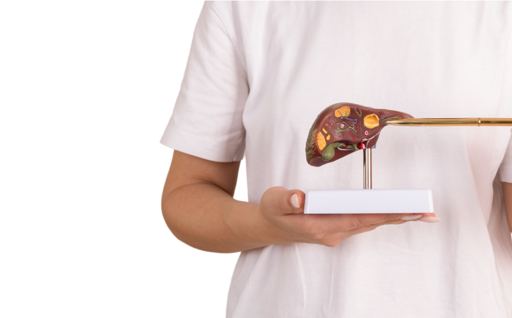 Liver Resection Surgery Overview