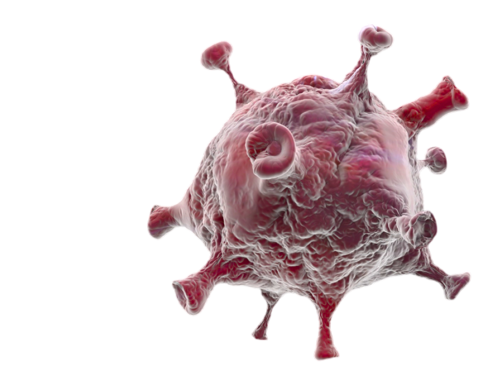How Is A Hepatectomy Performed