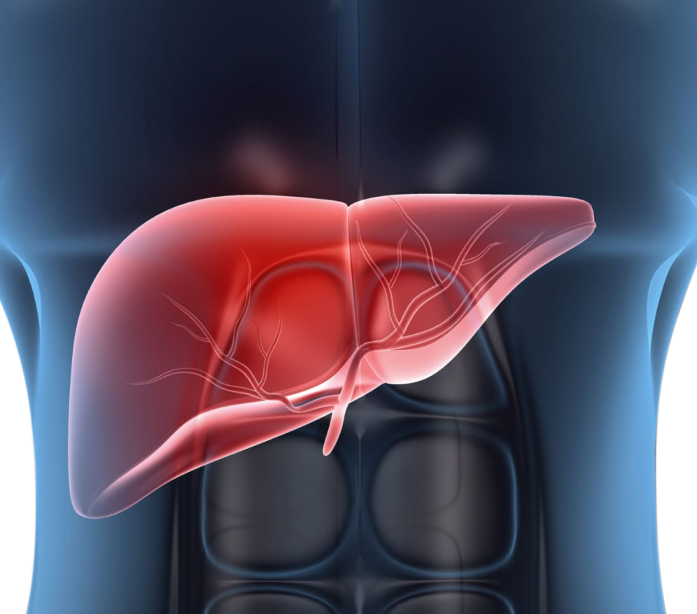 Types of Liver Resections