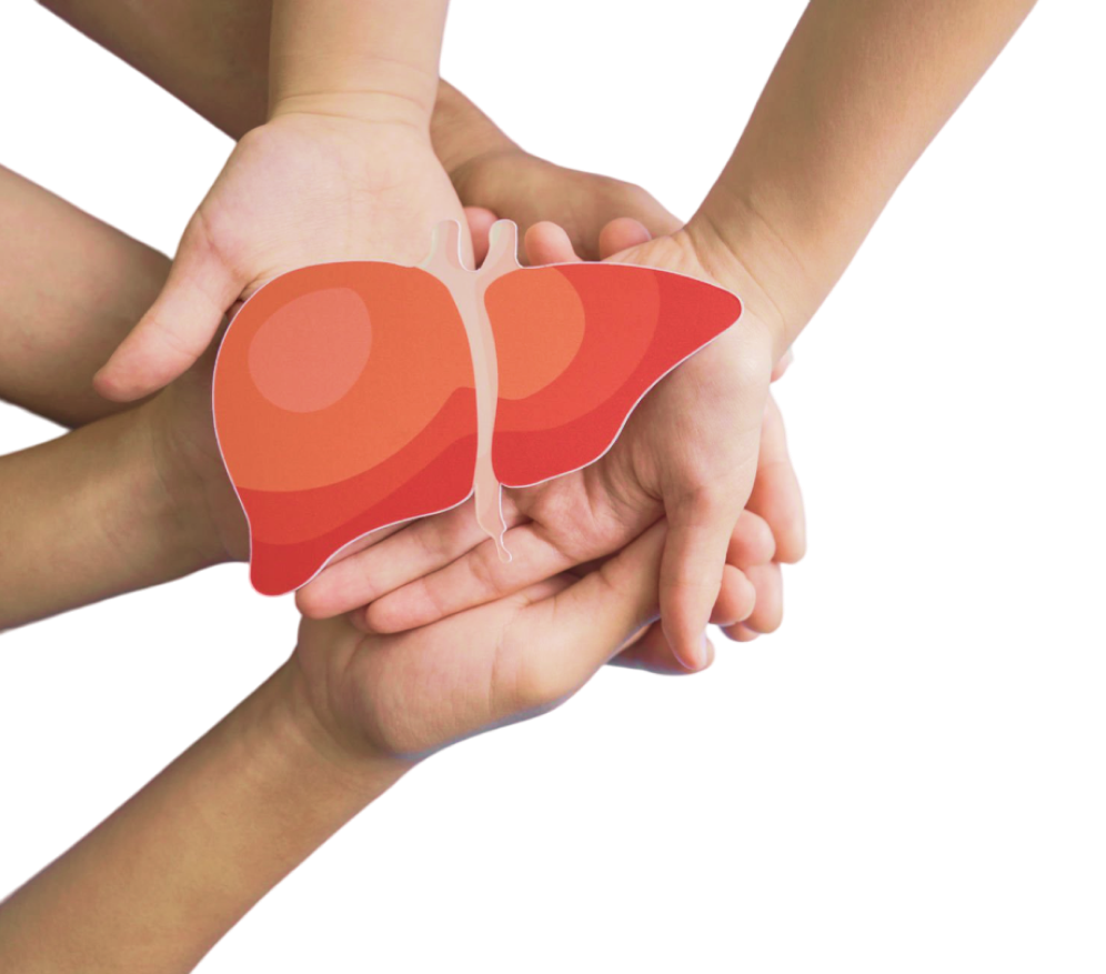 What is Liver Transplant